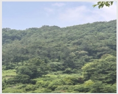  2025Ÿ��3843  �Ӿ߰��