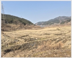  2025Ÿ31268  ֽ Ȳ  507-19      ()