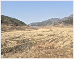  2025Ÿ31268  ֽ Ȳ  507-19      ()