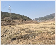  2025Ÿ31268  ֽ Ȳ  507-19      ()