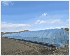  2025Ÿ31459  ֽ  ǳ 959-2      ()