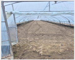  2025Ÿ31459  ֽ  ǳ 959-2      ()