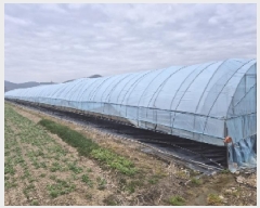  2025Ÿ31459  ֽ  ǳ 959-2      ()