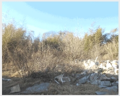  2025Ÿ32000  걸 û 5       ܵ,ð