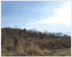  2025Ÿ32013    긮 235      (1)