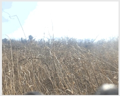  2025Ÿ32013    긮 235      (1)