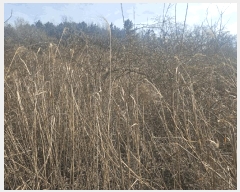  2025Ÿ32013    긮 235      (1)