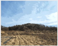  2025Ÿ32013    긮 235      (1)