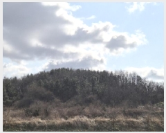  2025Ÿ32013    긮 235      (1)