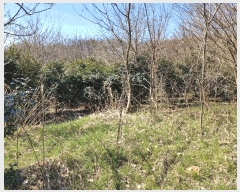  2025Ÿ32156  ֽ հ Ű 383      (1)