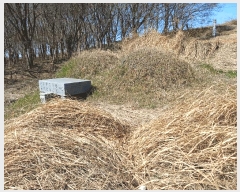  2025Ÿ32156  ֽ հ Ű 383      (1)