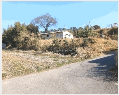  2025Ÿ32156  ֽ հ Ű 383      (1)