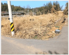  2025Ÿ32156  ֽ հ Ű 383      (1)