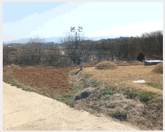  2025Ÿ32156  ֽ հ Ű 383      (1)