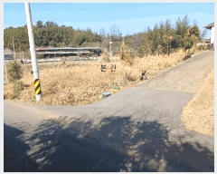  2025Ÿ32156  ֽ հ Ű 383      (1)