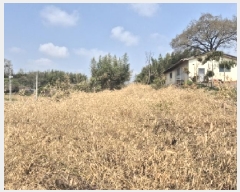  2025Ÿ32156  ֽ հ Ű 383      (1)