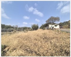  2025Ÿ32156  ֽ հ Ű 383      (1)