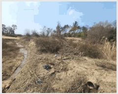  2025Ÿ��32298 ���� ��籺 ����� ���︮ 22      ����(��)���