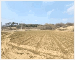  2025Ÿ��32298 ���� ��籺 ����� ���︮ 22      ����(��)���