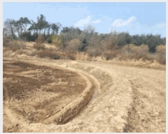  2025Ÿ��32298 ���� ��籺 ����� ���︮ 22      ����(��)���