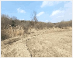  2025Ÿ��32298 ���� ��籺 ����� ���︮ 22      ����(��)���