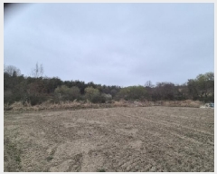  2025Ÿ��32298 ���� ��籺 ����� ���︮ 22      ����(��)���