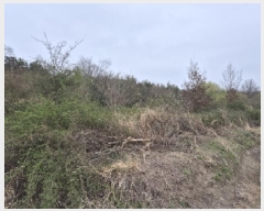  2025Ÿ��32298 ���� ��籺 ����� ���︮ 22      ����(��)���