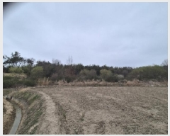  2025Ÿ��32298 ���� ��籺 ����� ���︮ 22      ����(��)���