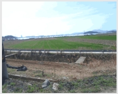  2025Ÿ32351    748-20       ()