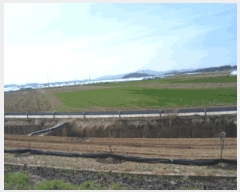  2025Ÿ32351    748-20       ()