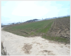  2025Ÿ32351    748-20       ()