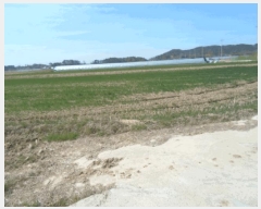  2025Ÿ32351    748-20       ()