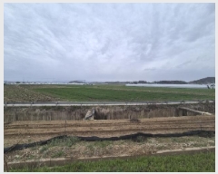  2025Ÿ32351    748-20       ()