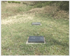  2025Ÿ��32405  �����