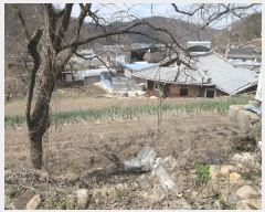  2025Ÿ��32405  �����