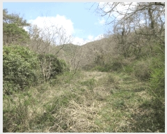  2025Ÿ��32405  �����