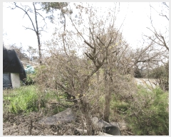  2025Ÿ��32405  �����