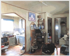  2025Ÿ��32405  �����