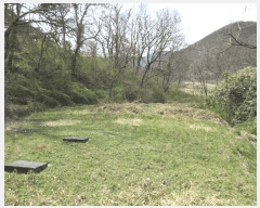  2025Ÿ��32405  �����