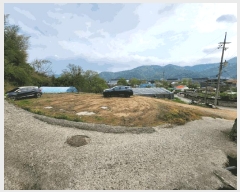  2025Ÿ32570  걸 Ӱ 318       ()