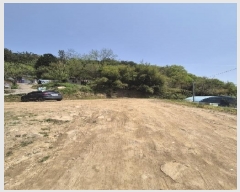  2025Ÿ32570  걸 Ӱ 318       ()