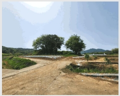  2025Ÿ��32619 ���� ���ֽ� ����� ���̸� 305-2      ����(��1)���