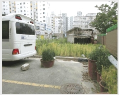  2025Ÿ��32782 ���� ���걸 ������ 904-7       ����(��)���