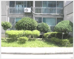  2025Ÿ��33126  ����Ʈ���