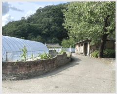  2025Ÿ��33163 ���� ��籺 ��� �뿬�� 163      ����(����)���