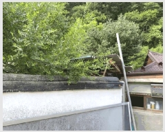  2025Ÿ��33163 ���� ��籺 ��� �뿬�� 163      ����(����)���