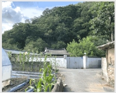  2025Ÿ��33163 ���� ��籺 ��� �뿬�� 163      ����(����)���