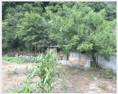  2025Ÿ��33163 ���� ��籺 ��� �뿬�� 163      ����(����)���