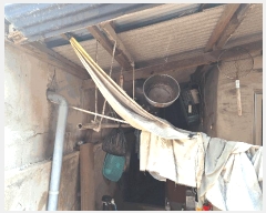  2025Ÿ��33432  ���ð��