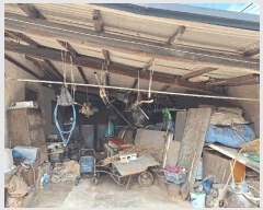  2025Ÿ��33432  ���ð��